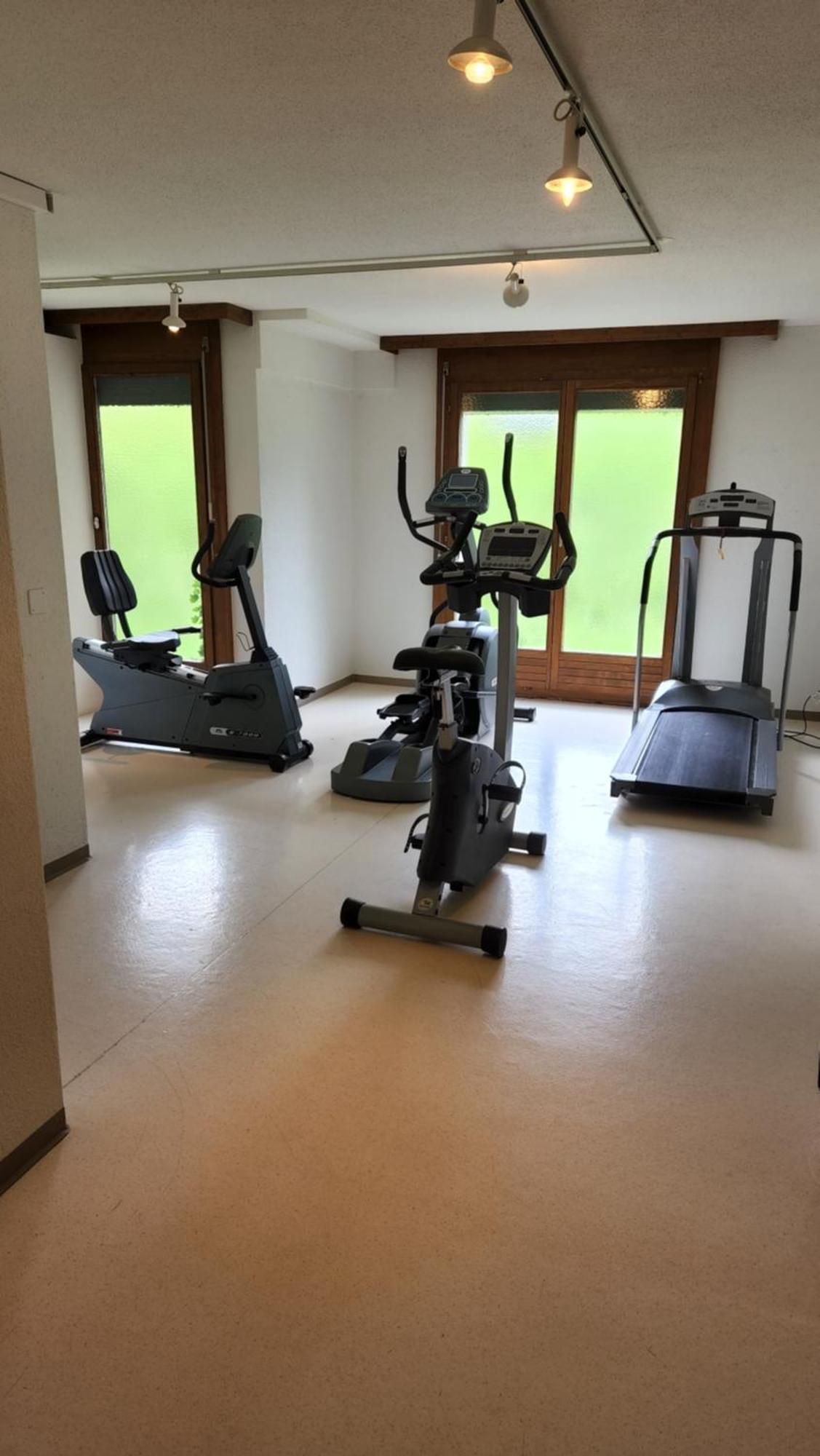Ferienwohnung Solohike Mountainview Seelisberg Exterior foto